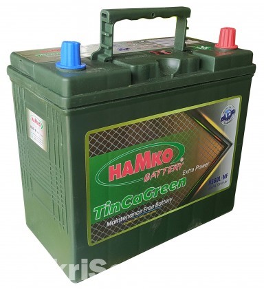 Hamko Car Battery NS60L MF (12M) TincaGreen